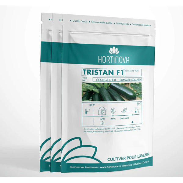 Tristan F1 - Graines de Courgette Hybride