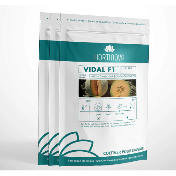 Vidal F1 - Semences de melon Cantaloup hybride
