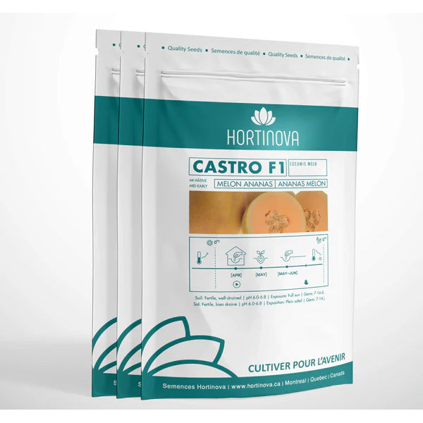 Castro F1 (Ananas Melon)