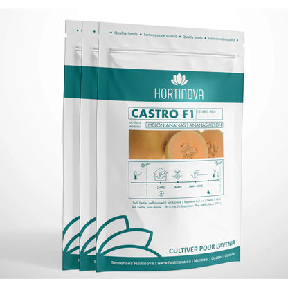 Castro F1 (Ananas Melon)