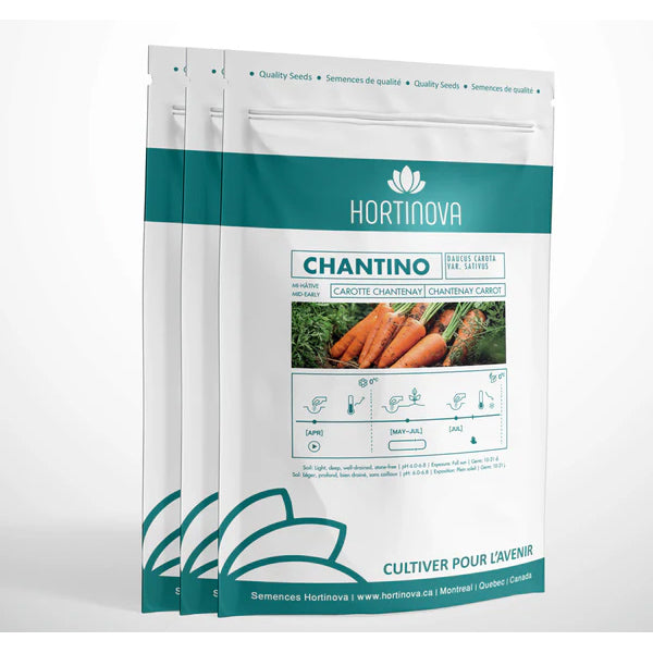 Chantino - Open Pollinated Chantenay Carrot Seeds