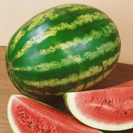 CRIMSON BABY - Open Pollinated Watermelon Seeds