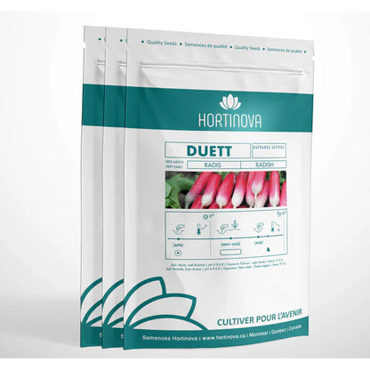 Duett - Graines de radis à pollinisation libre