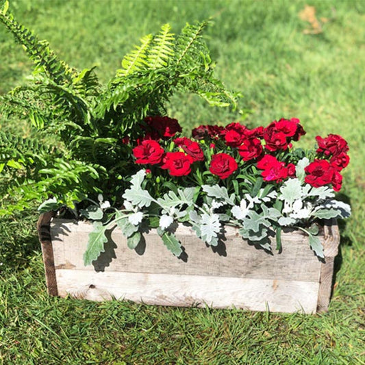Emarville Arrangement Perfection