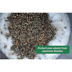 Rescue Japanese Beetle Trap with Attractant