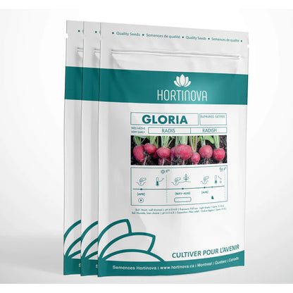 Gloria - Open Pollinated Radish Seeds