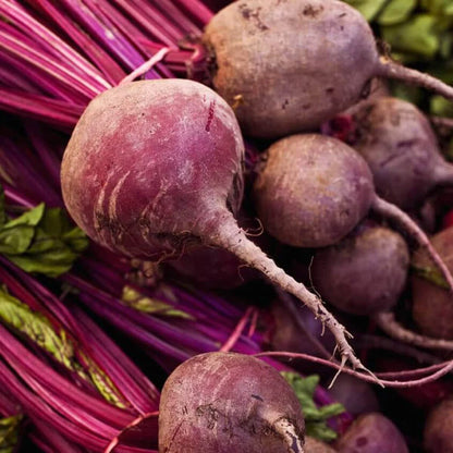 Kornett - Open Pollinated Red Beet Seeds