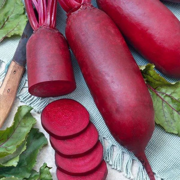 Kosak - Open Pollinated Red Beet Seeds