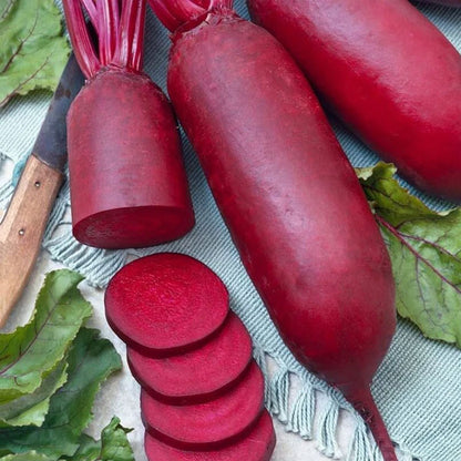 Kosak - Open Pollinated Red Beet Seeds