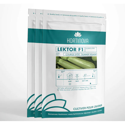Lektor F1 - Hybrid Summer Squash Seeds