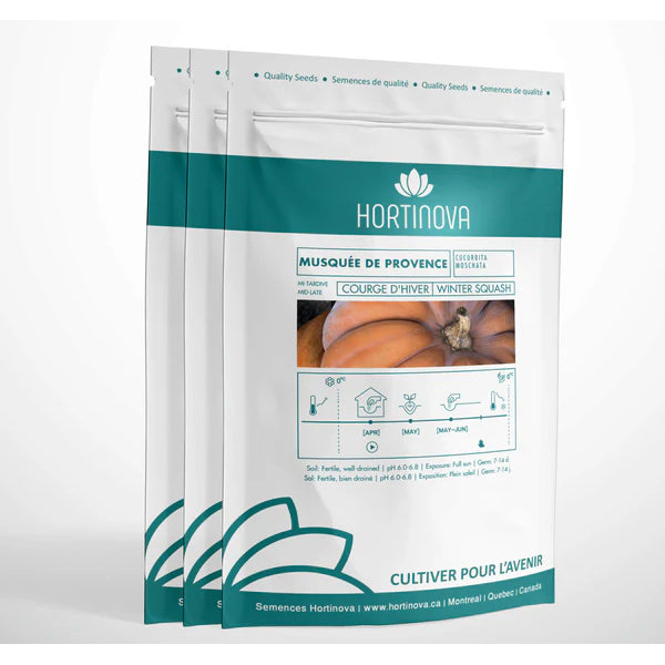 MusquÉE De Provence - Open Pollinated Winter Squash Seeds