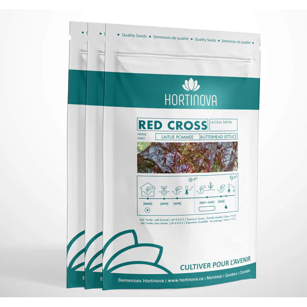 Red Cross - Open Pollinated Butterhead Lettuce Seeds