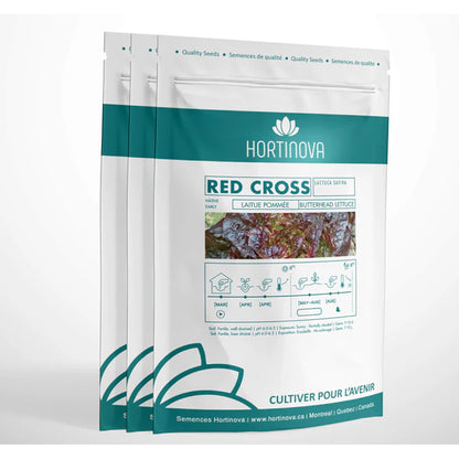 Red Cross - Open Pollinated Butterhead Lettuce Seeds
