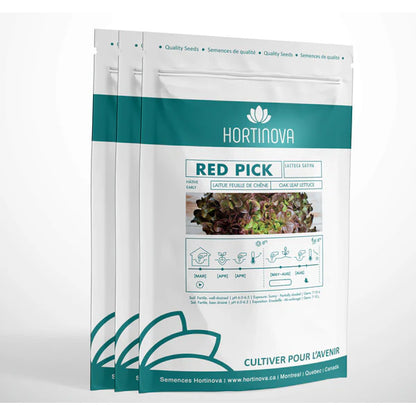 Red Pick - Open Pollinated Oakleaf Lettuce Seeds