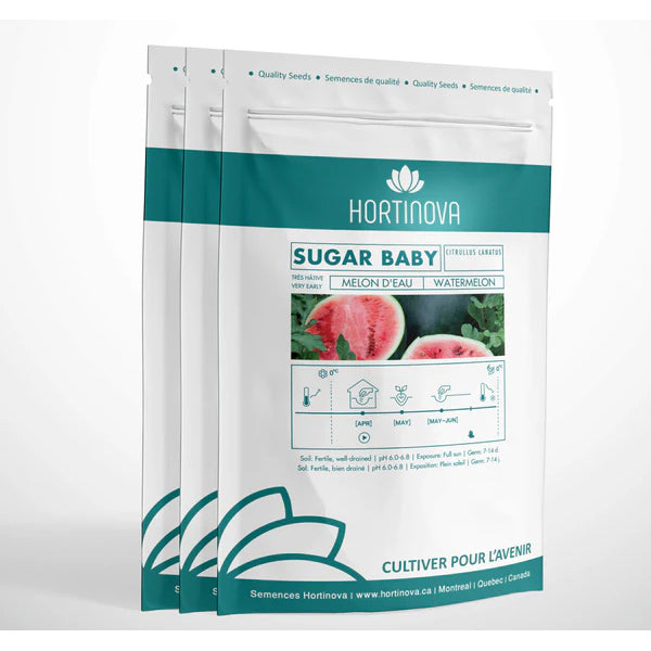 Sugar Baby - Open Pollinated Watermelon Seeds