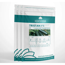 TRISTAN F1 - Hybrid Summer Squash Seeds