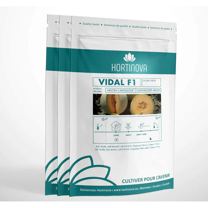 Vidal F1 - Hybrid Cantaloupe Melon Seeds