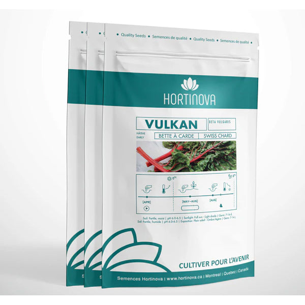 Vulkan - Open Pollinated Swiss Chard Seeds