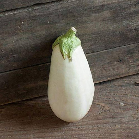 Eggplant Hyb Clara White