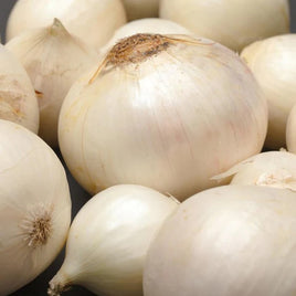 SPANISH ONION HYB WHITE