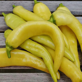 SWEET PEPPER HYB (BANANA) YELLOW