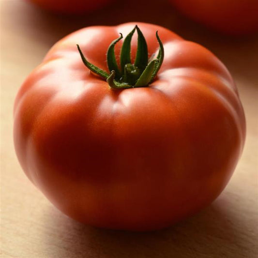 Tomate ancienne hybride Genuwine