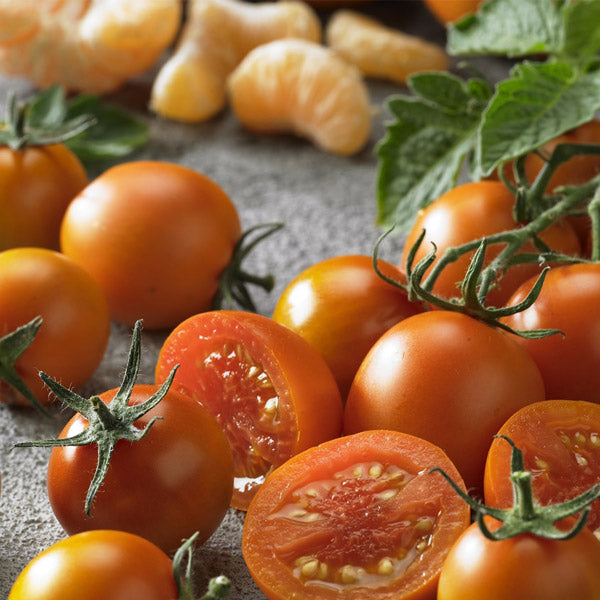 Tomato Hyb Tutti Frutti Mandarin