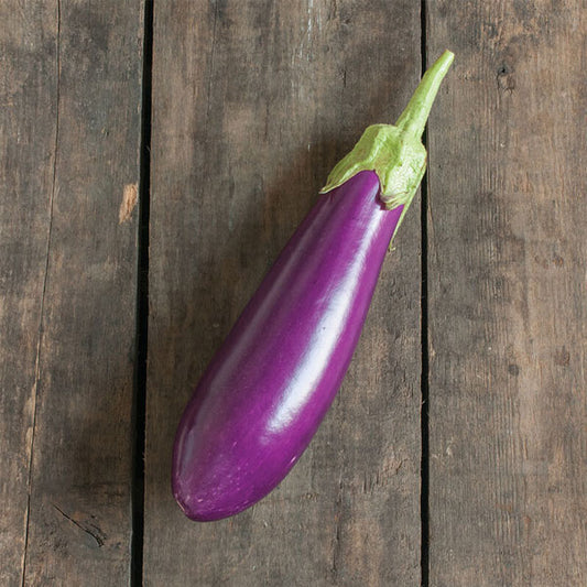 Aubergine HYB Dancer Pink