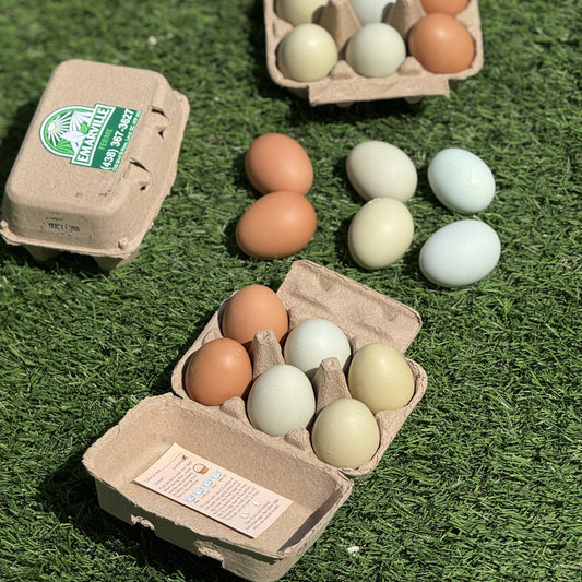 Three brown cardboard carton egg boxes containing multicolored eggs, with several loose eggs scattered on green grass. One carton lid shows a visible 'Barnett' brand logo.