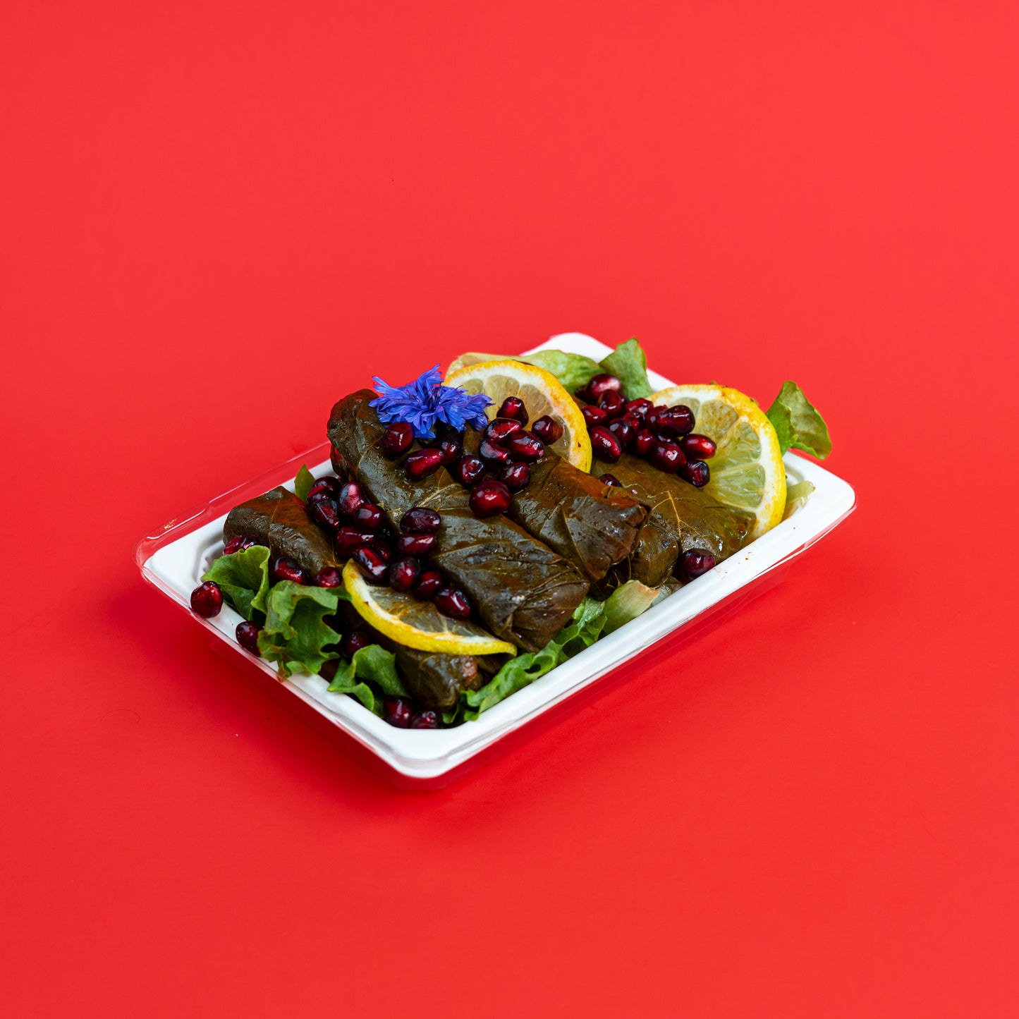 A white rectangular styrofoam food tray containing stuffed grape leaves, garnished with pomegranate seeds, lemon slices, green herbs, and a small blue flower, set against a solid red background.